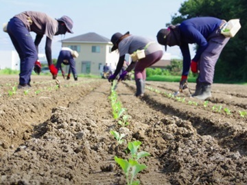 有限会社グリーンフィールド浜松-3