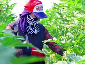 有限会社グリーンフィールド浜松-6