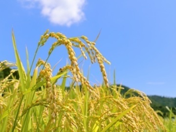 株式会社TakahashiFarm-2