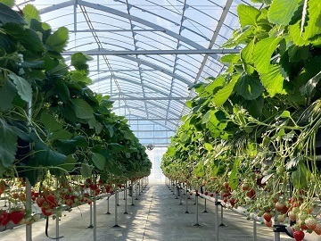 ICHIGO HOUSE.HITACHINAKA-4