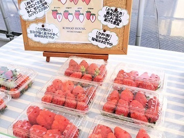 ICHIGO HOUSE.HITACHINAKA-6