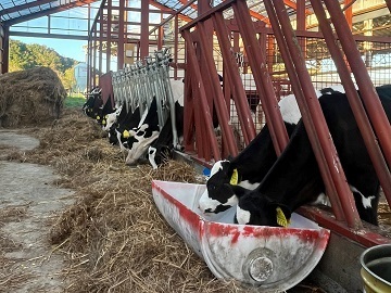 齋藤牧場-6