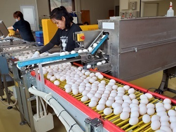 有限会社高松ポートリー-top