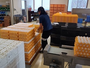 有限会社高松ポートリー-2