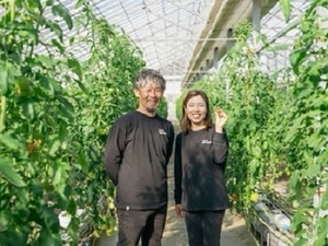 有限会社フレッシュファクトリー-top