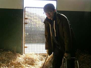 北海道浦河町×競走馬/法人【0954】-3