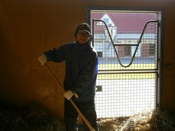 北海道浦河町×競走馬/法人【0954】-4