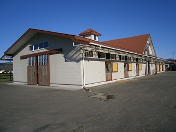 北海道浦河町×競走馬/法人【0954】-5