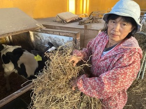 おのでら牧場-top