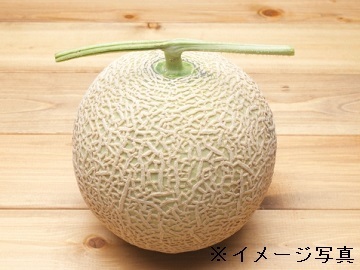 北海道北竜町×水稲・畑作・野菜/法人【41078】-2