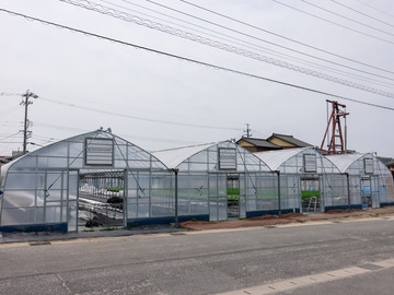 こんどうファーム-4