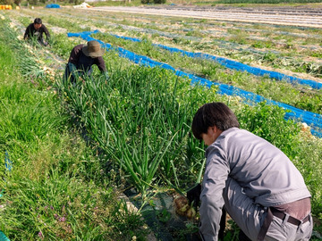 こんどうファーム-5