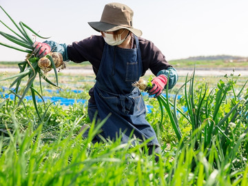 こんどうファーム-6