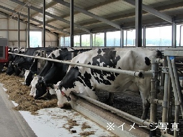 北海道新得町×酪農/法人【41182】-1