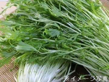 二王子農事組合法人-3