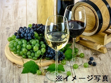 長野県長野市×果樹/法人【41213】-2