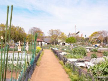 アイル・コーポレーション株式会社-1