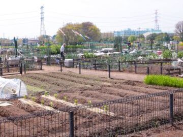 アイル・コーポレーション株式会社-4