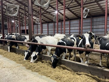 佐藤牧場(富良野)-5