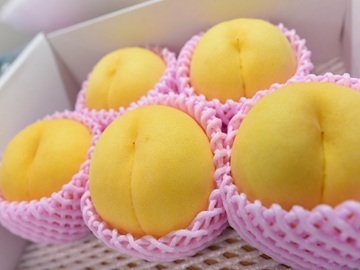 株式会社フルーツ果乃蔵-2