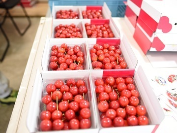 株式会社フルーツ果乃蔵-3