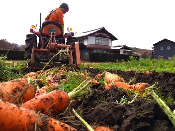 あさひや農場-6