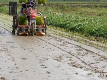 丸本酒造株式会社-4