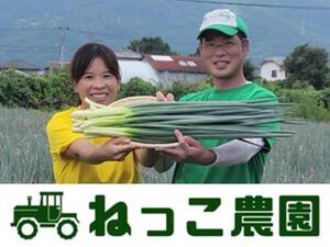 株式会社ねっこ農園-top