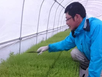 株式会社ねっこ農園-1