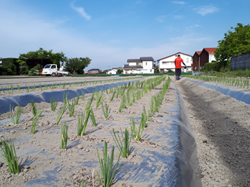 株式会社ねっこ農園-2