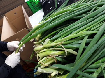 株式会社ねっこ農園-6