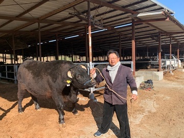 神戸畜産株式会社