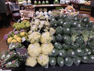 翠の丘農園(みどりのおか)-1