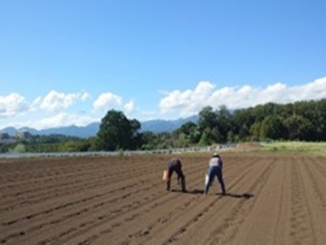 翠の丘農園(みどりのおか)-5