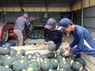 翠の丘農園(みどりのおか)-7