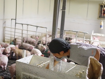 有限会社前原兄弟畜産-6