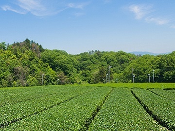 株式会社大和園-1