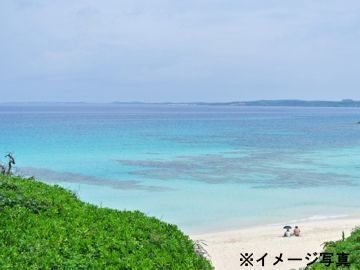 大成ファーム-2