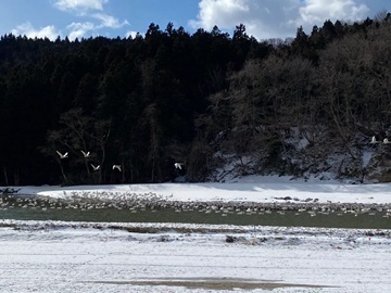 株式会社結心ファーム-6