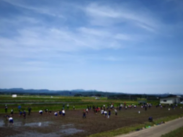 株式会社結心ファーム-8