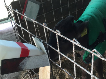 群馬県太田市×肉牛/法人【41624】-3