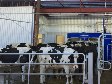 群馬県太田市×肉牛/法人【41624】-4