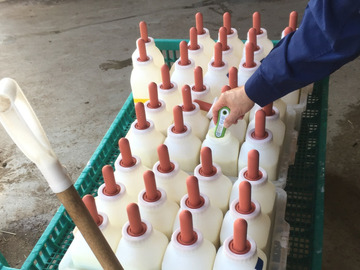 群馬県太田市×肉牛/法人【41624】-5