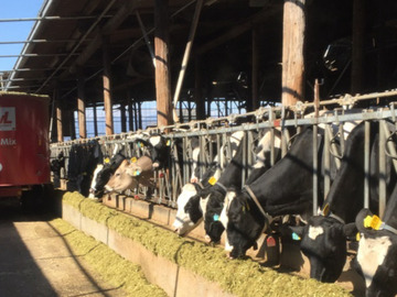 群馬県太田市×肉牛/法人【41624】-6