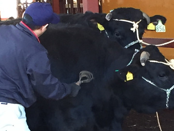 群馬県太田市×肉牛/法人【41624】-7