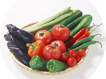 株式会社アミノアップ【北海道:製造】-1