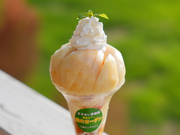 農業生産法人 有限会社まるせい果樹園-6