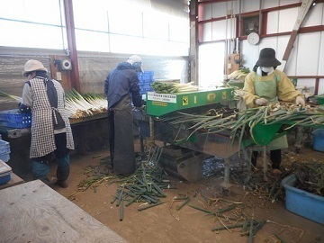 アグリグリーン株式会社-2