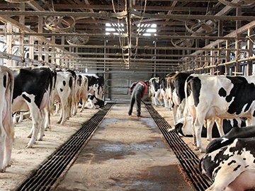 株式会社ゼルコバドリーム-1