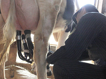 株式会社ゼルコバドリーム-4